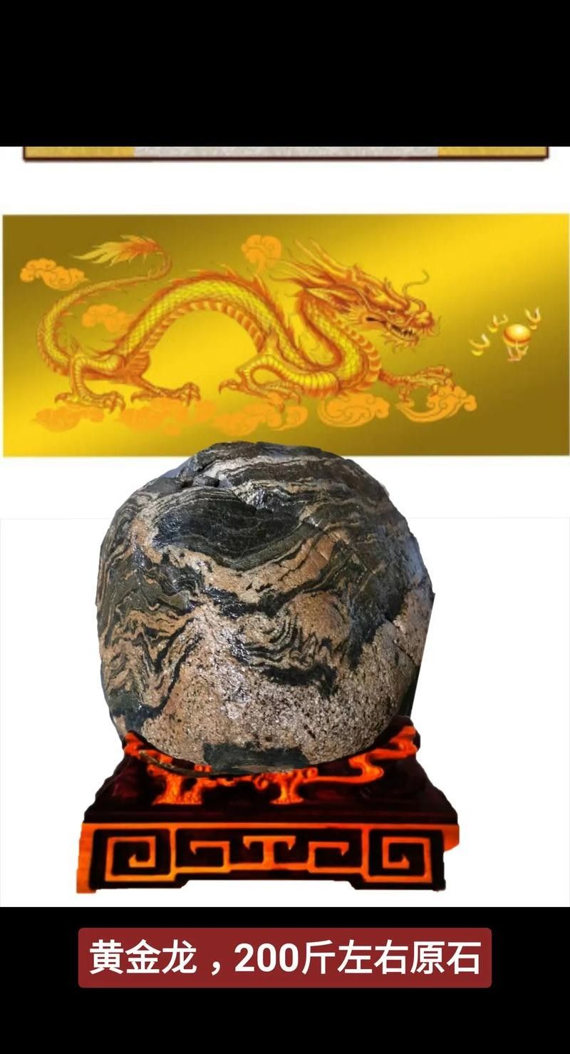 重金屬寶石金龍有哪些特點？（重金屬寶石金龍是金龍魚品種中的特殊類型）