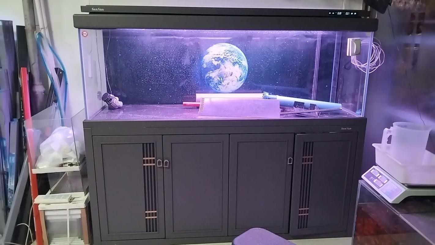 京口哪個水族館龍魚好？祥龍魚場龍魚（京口哪個水族館龍魚好祥龍魚場龍魚在北京有合作場館嗎）