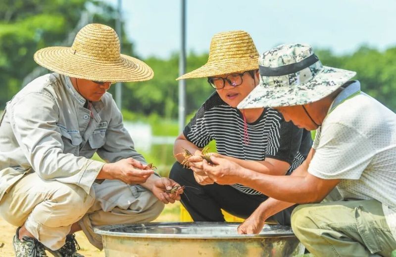 海口龍魚養(yǎng)殖場(chǎng)的價(jià)格范圍（海口龍魚養(yǎng)殖場(chǎng)價(jià)格范圍）
