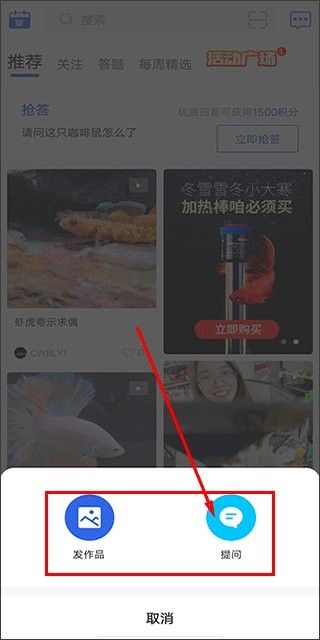 鯤天下APP的用戶評價如何？（鯤天下app有哪些達人入駐鯤天下app）