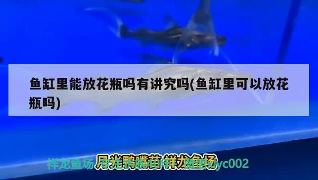魚缸里能放花瓶嗎有講究嗎(魚缸里可以放花瓶嗎)（魚缸里放花瓶有講究嗎，魚缸里能放花瓶嗎，有講究嗎）