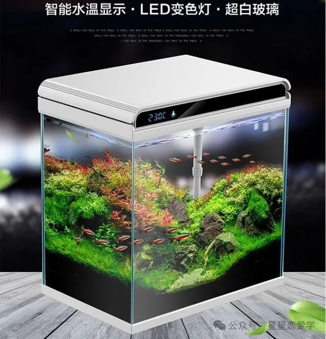 漢霸龍魚缸的特點是什么（你還不知道告訴你漢霸魚缸怎么選） 漢霸龍魚缸的特點是什么（你還不知道告訴你漢霸魚缸怎么選） 龍魚百科 第10張