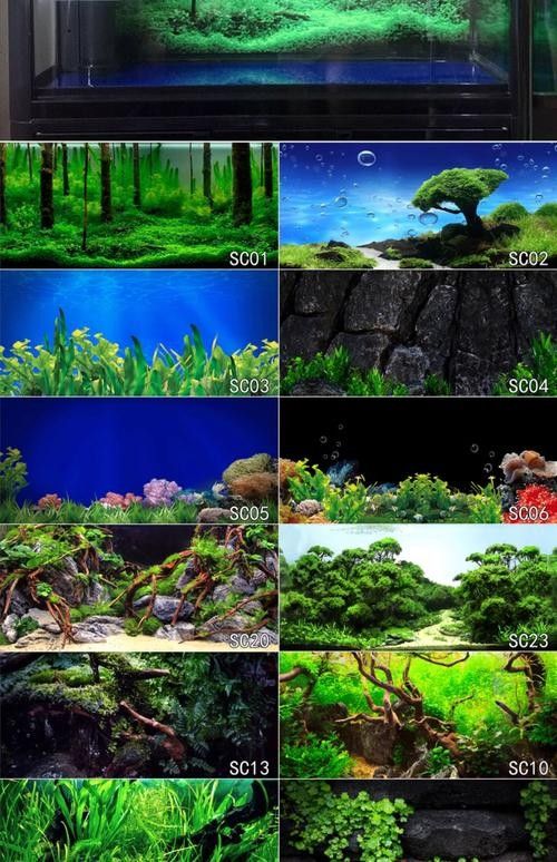 金龍魚缸背景圖哪里可以找到?(金龍魚缸背景圖的獲取途徑) 龍魚百科 第29張 金龍魚缸背景圖哪里可以找到?(金龍魚缸背景圖的獲取途徑) 金龍魚缸背景圖哪里可以找到?(金龍魚缸背景圖的獲取途徑) 龍魚百科 第29張