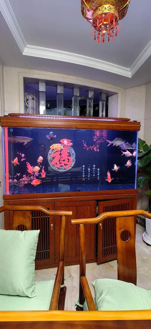 金龍魚缸背景圖哪里可以找到?(金龍魚缸背景圖的獲取途徑) 龍魚百科 第36張 金龍魚缸背景圖哪里可以找到?(金龍魚缸背景圖的獲取途徑) 金龍魚缸背景圖哪里可以找到?(金龍魚缸背景圖的獲取途徑) 龍魚百科 第36張