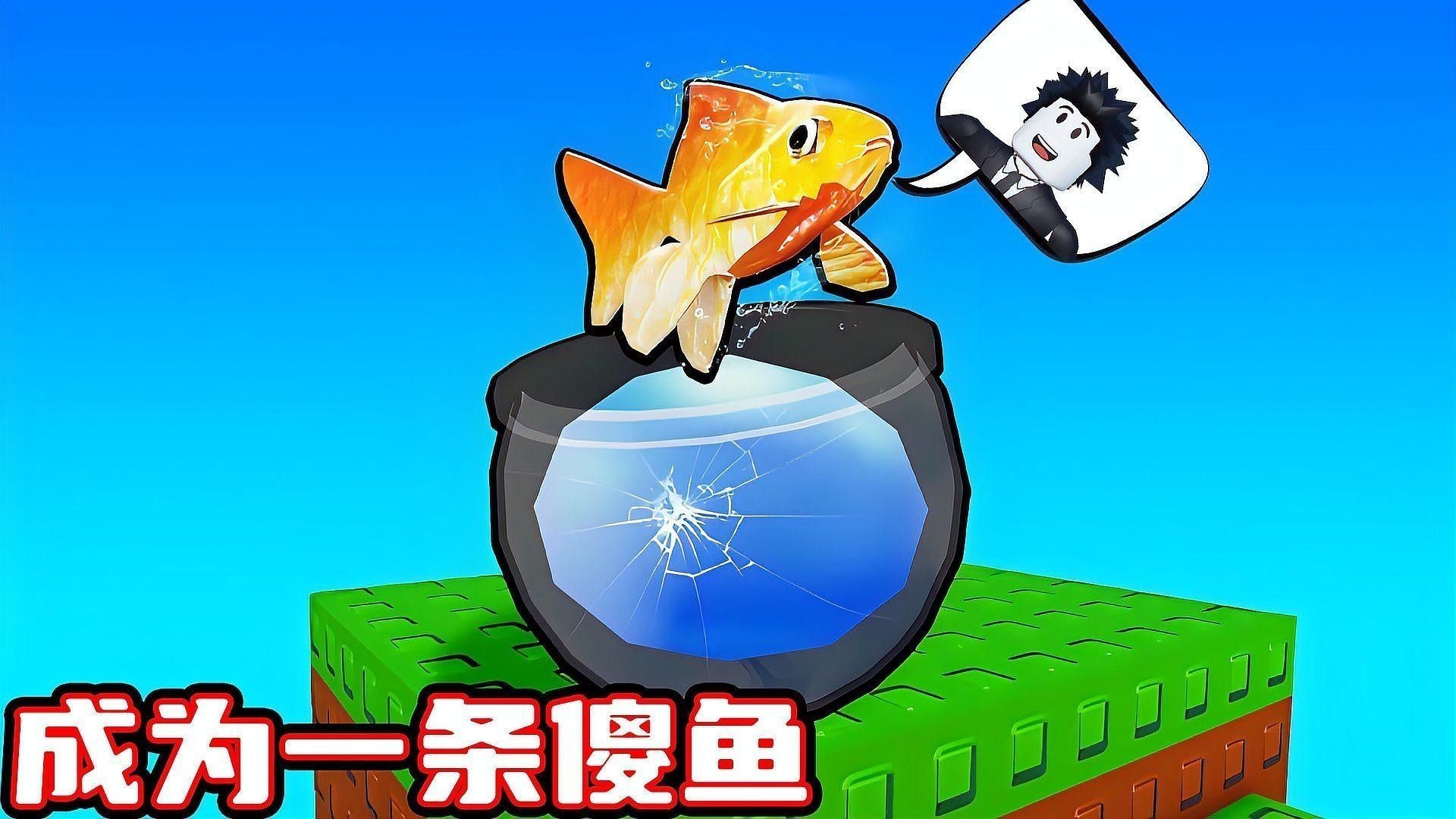 彩蝶龍魚缸的海水魚飼養視頻（彩蝶龍魚缸海水魚飼養視頻）