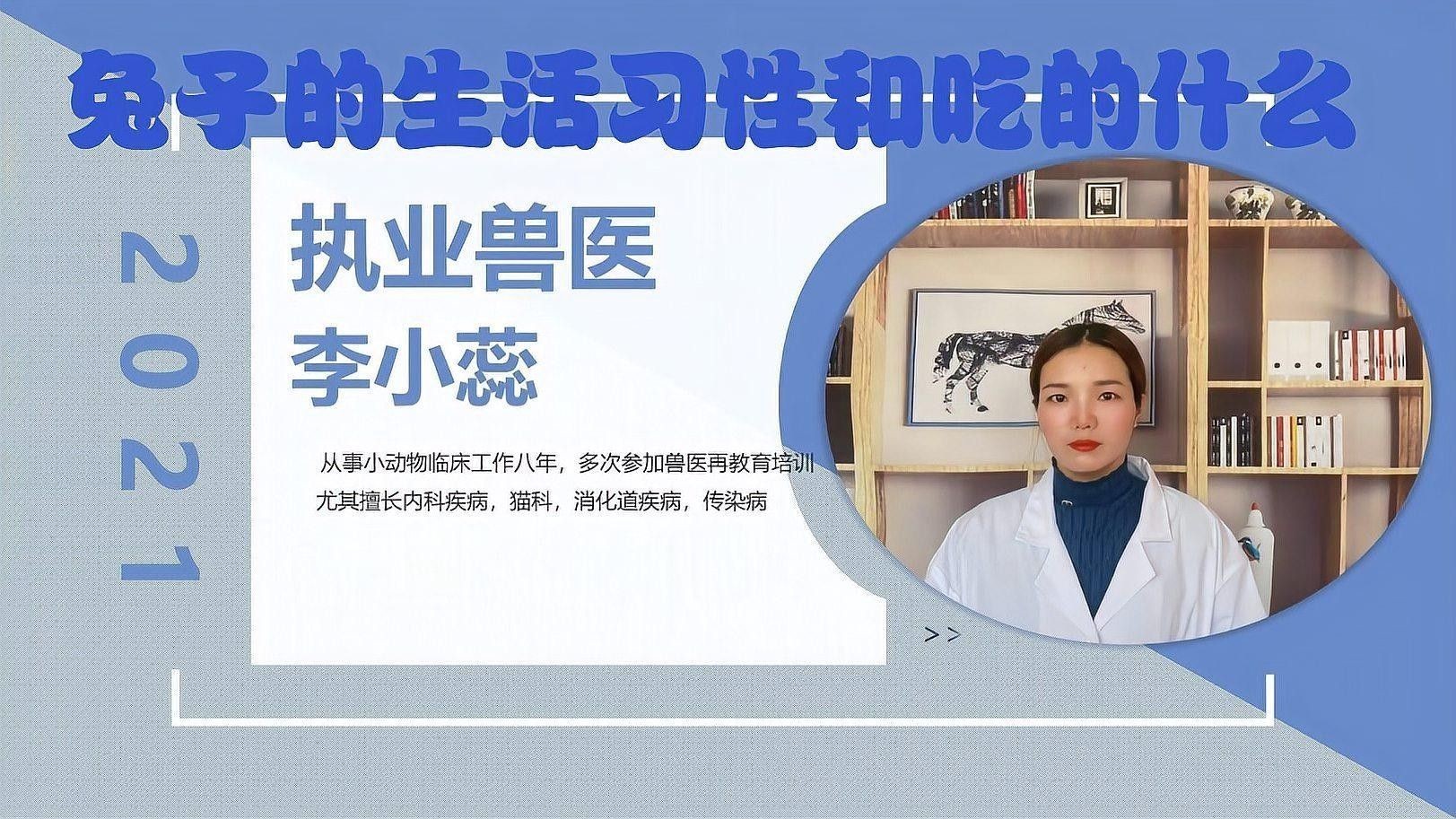 荷蘭豬和兔子能和平相處嗎？（twincamfx荷蘭豬可以和兔子一起養嗎）