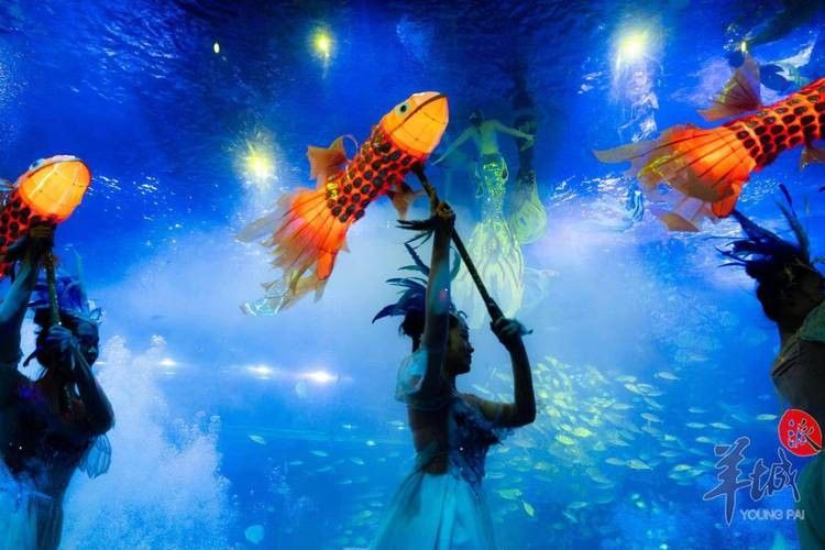 博白哪個水族館龍魚好？祥龍魚場龍魚（博白縣祥龍魚場水族館）