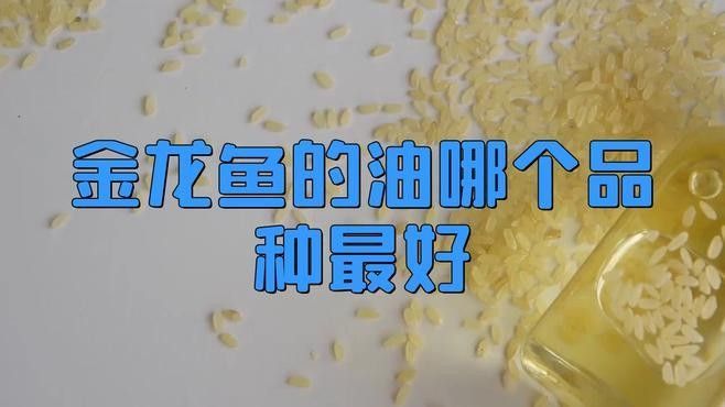 金龍魚餐飲專用油有哪些系列（金龍魚餐飲專用油）