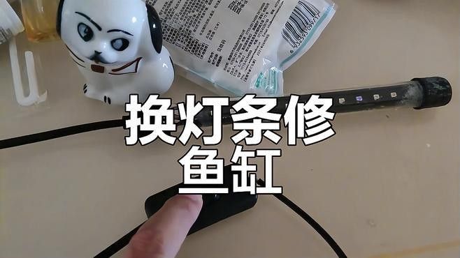 龍魚缸燈具需要多長時間更換（魚缸燈具的更換周期取決于多種因素，龍魚缸燈具更換周期取決于多種因素）