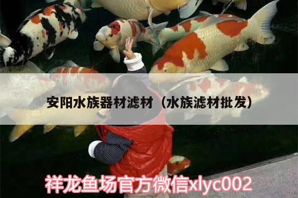 安陽(yáng)<strong><mark>水族器材</mark></strong>濾材（水族濾材批發(fā)）（安陽(yáng)<strong><mark>水族器材</mark></strong>濾材批發(fā)商提供一系列水族濾材的作用）