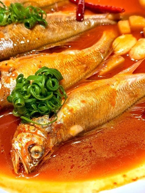 金龍魚和小黃魚有何區別（金龍魚和小黃魚的區別）