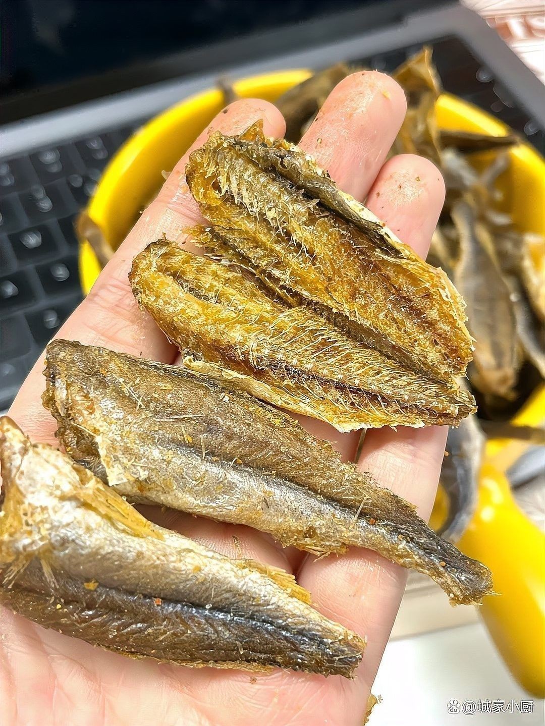 金龍魚和小黃魚有何區別（金龍魚和小黃魚的區別）