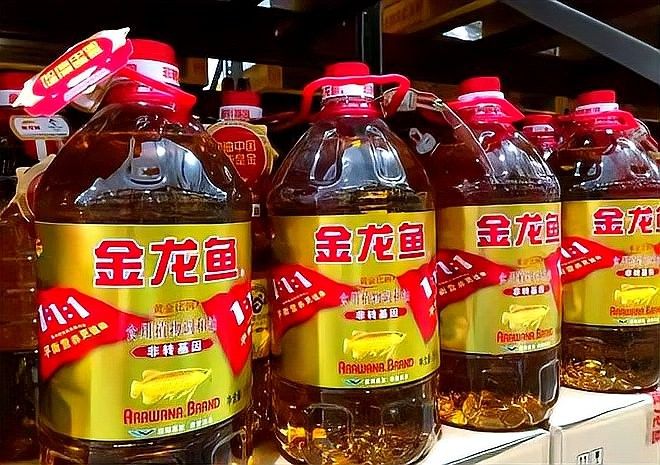 金龍魚東南亞市場的挑戰有哪些？（金龍魚在東南亞市場面臨挑戰） 金龍魚東南亞市場的挑戰有哪些？（金龍魚在東南亞市場面臨挑戰） 龍魚百科 第6張