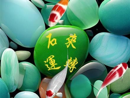 能推薦一些紅福龍魚動(dòng)態(tài)壁紙嗎（福龍魚動(dòng)態(tài)壁紙是一種視覺藝術(shù)，它是一種視覺藝術(shù)）