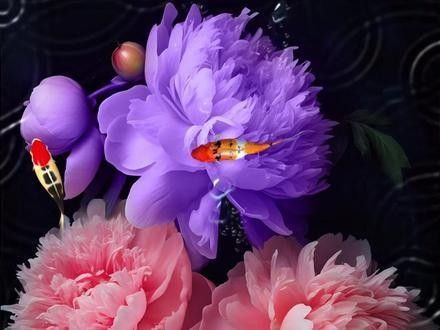 能推薦一些紅福龍魚動(dòng)態(tài)壁紙嗎（福龍魚動(dòng)態(tài)壁紙是一種視覺藝術(shù)，它是一種視覺藝術(shù)）