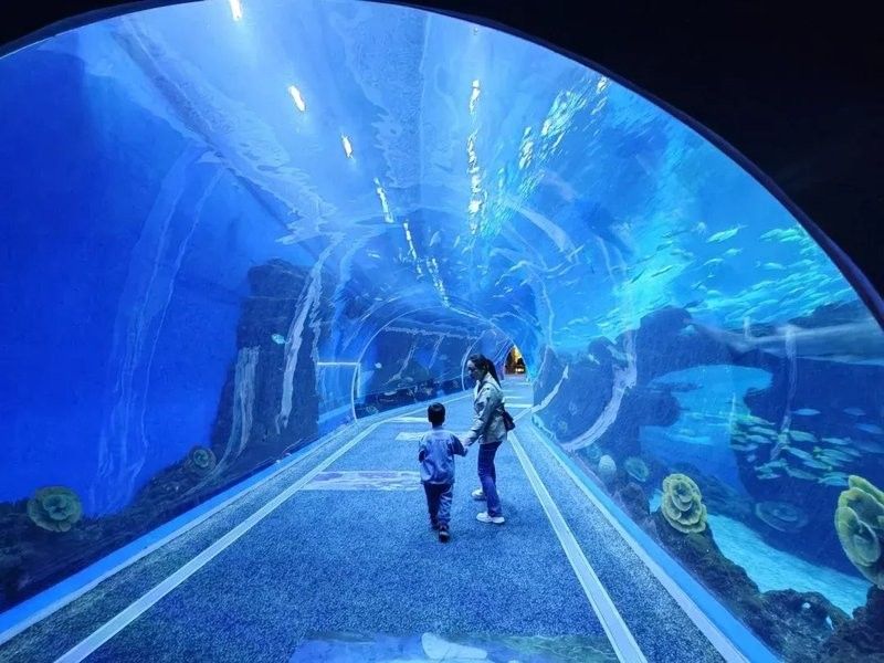 雙流哪個水族館龍魚好？祥龍魚場龍魚（廣州龍魚祥龍魚場,成都海洋館遛娃記-大眾點評）