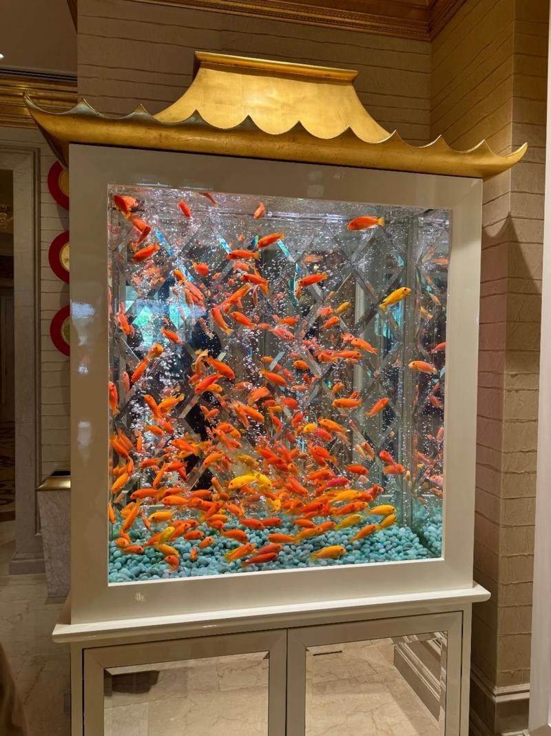 金底金龍魚缸背景貼什么顏色（底金龍魚缸背景貼有哪些品牌推薦金龍魚缸背景貼）