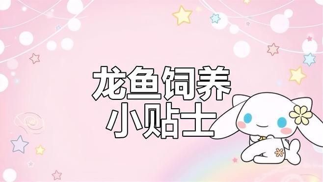 龍魚缸濾材多久換一次（龍魚缸濾材多久換一次龍魚缸濾材更換與水質管理技巧）