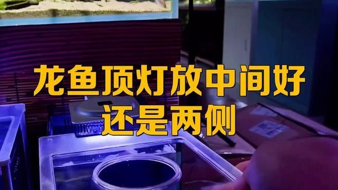 龍魚缸燈的安裝步驟（巴黎街坊志龍魚缸燈安裝全流程龍魚缸燈安裝全流程）