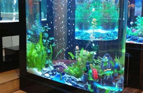 湘西土家族苗族自治州魚缸水族箱批發市場（湘西土家族苗族自治州水族箱批發市場）