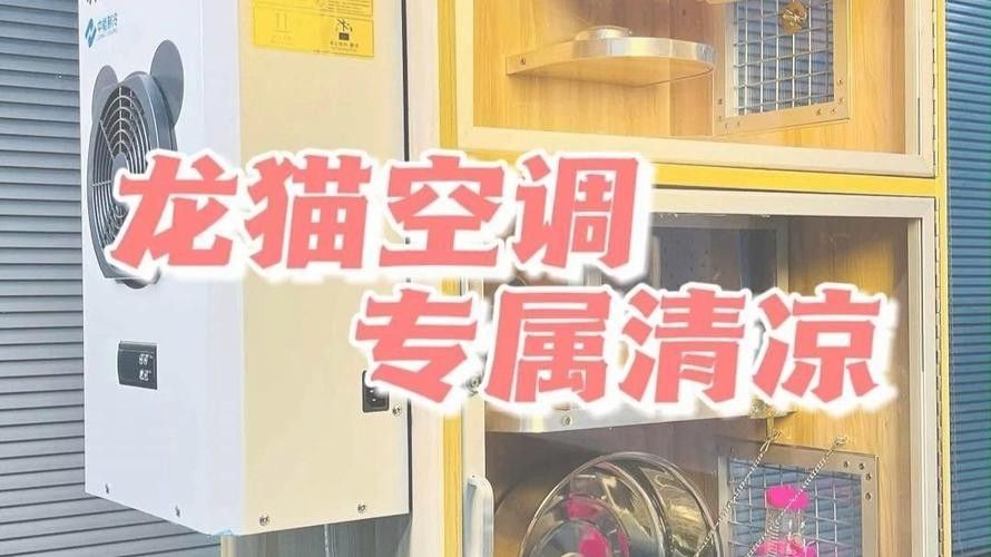 給我推薦一些適合龍貓的恒溫設備（淘寶網,龍貓冰窩什么值得買恒溫設備推薦及使用建議）