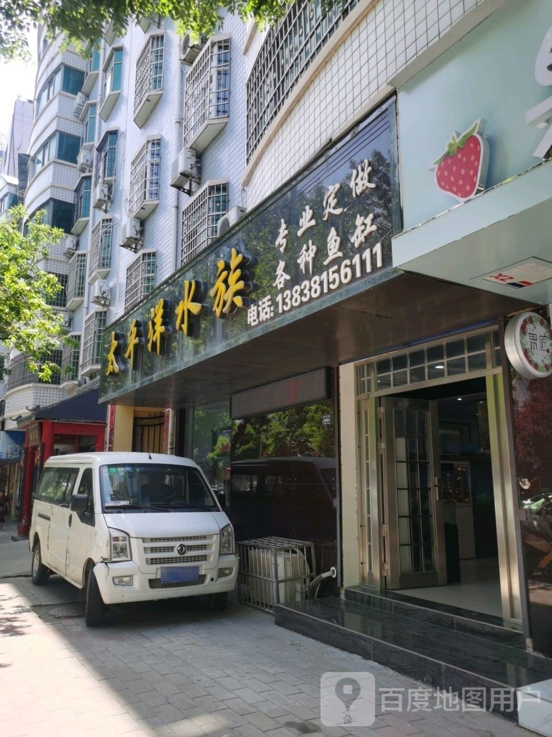 登封哪個水族館龍魚好？祥龍魚場龍魚（登封市哪個水族館的龍魚品質最佳，森森水族和太平洋水族哪個好）
