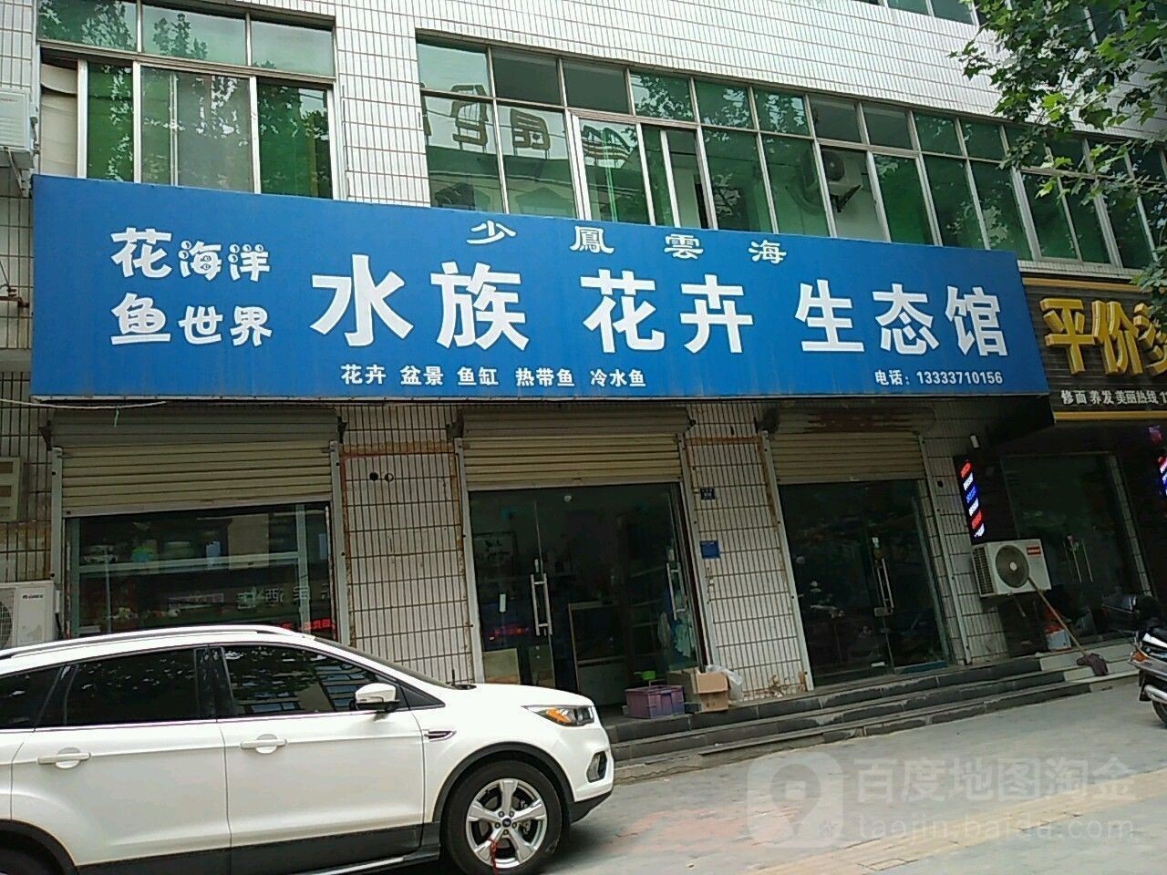 登封哪個水族館龍魚好？祥龍魚場龍魚（登封市哪個水族館的龍魚品質最佳，森森水族和太平洋水族哪個好）