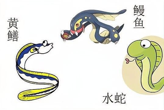 土龍魚和蛇哪個更危險？（土龍魚和土龍魚哪個更危險？）
