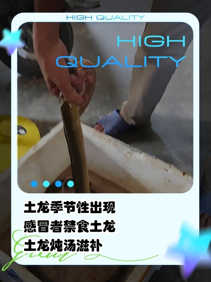 土龍魚和蛇哪個更危險？（土龍魚和土龍魚哪個更危險？）