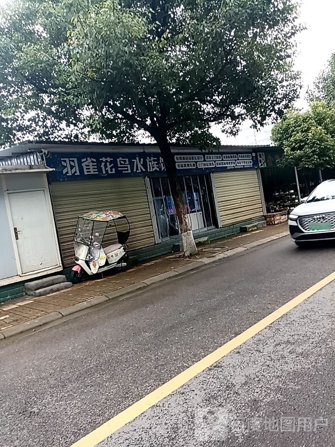 仁壽哪個水族館龍魚好？祥龍魚場龍魚（仁壽哪個水族館龍魚好）