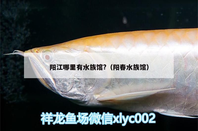 陽江哪里有水族館?（陽春水族館）（廣東陽春水族館，海陵島海洋生態(tài)系統(tǒng)的海洋生態(tài)系統(tǒng)）