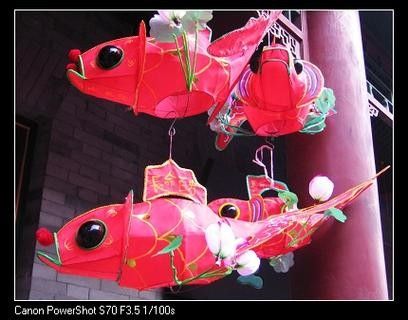 給我推薦幾款適合古典藍(lán)龍魚的燈具（幾款適合古典藍(lán)龍魚的燈具推薦）