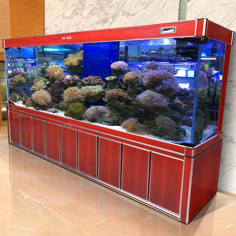 金龍魚適宜的水族箱布置，金龍魚水族箱布置方案