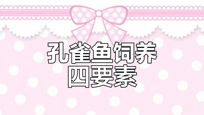 雷龍魚和孔雀魚哪個更好養（新手養魚怕翻車這5種“懶人魚”隨便養都爆缸） 雷龍魚和孔雀魚哪個更好養（新手養魚怕翻車這5種“懶人魚”隨便養都爆缸） 龍魚百科 第2張