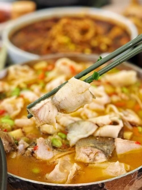 水龍魚的美食攝影作品哪里找(如何尋找水龍魚美食攝影作品) 龍魚百科 第20張 水龍魚的美食攝影作品哪里找(如何尋找水龍魚美食攝影作品) 水龍魚的美食攝影作品哪里找(如何尋找水龍魚美食攝影作品) 龍魚百科 第20張
