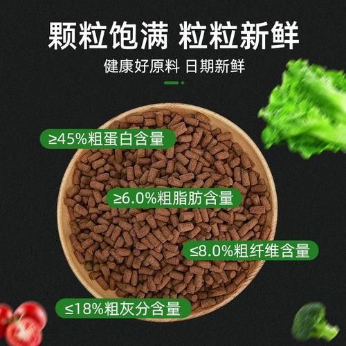 金龍魚發色飼料哪個牌子最好（金龍魚發色飼料品牌）