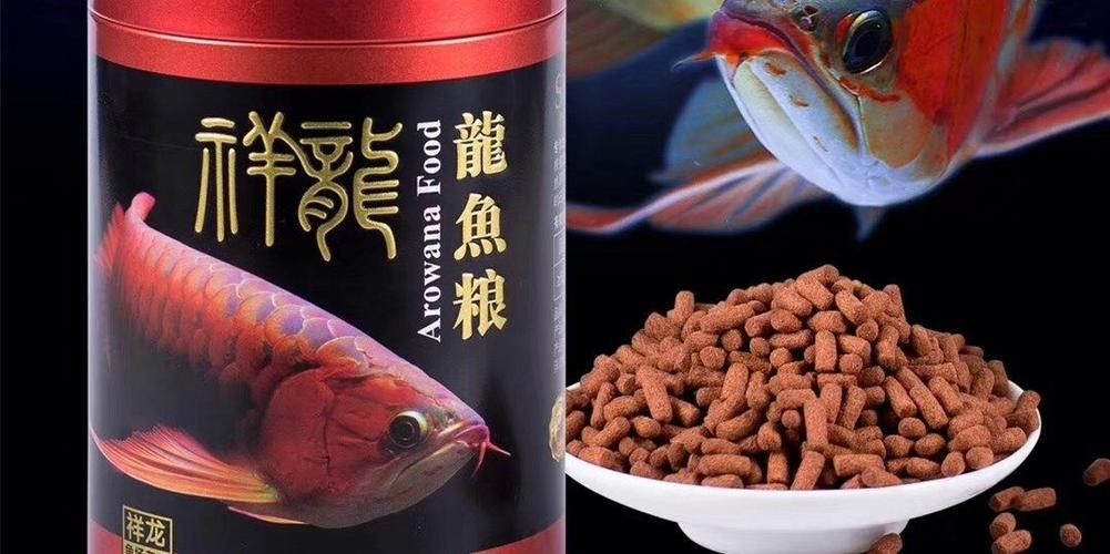 威遠哪個水族館龍魚好？祥龍魚場龍魚（廣州祥龍魚場龍魚養殖技術）