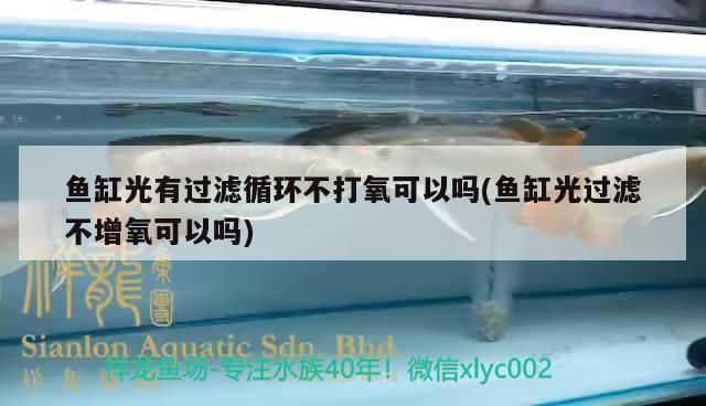 魚缸光有過濾循環不打氧可以嗎(魚缸光過濾不增氧可以嗎)（關于魚缸光有過濾循環不打氧可以嗎） 魚缸光有過濾循環不打氧可以嗎(魚缸光過濾不增氧可以嗎)（關于魚缸光有過濾循環不打氧可以嗎） 觀賞魚百科
