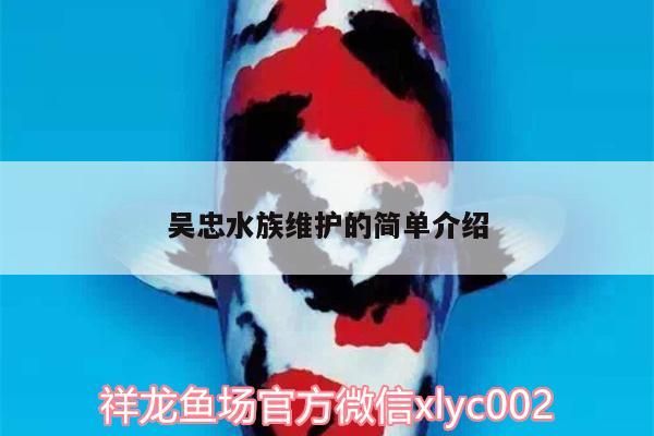 吳忠水族維護的簡單介紹（關于吳忠水族館的一些問題）