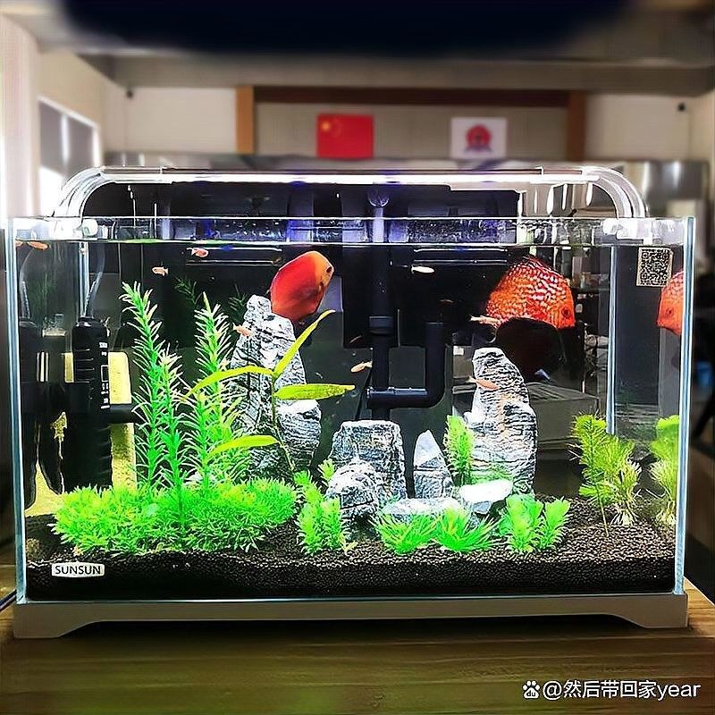 森森和博宇哪個更耐用（森和博宇哪個品牌的耐用性更強森森和博宇哪個更適合新手）