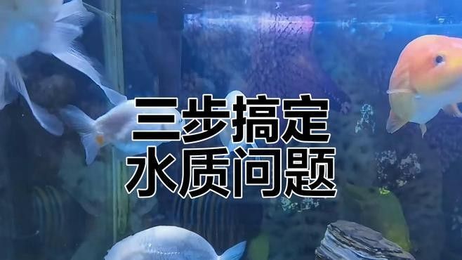 如何預防龍魚缸水渾濁？（魚缸水渾濁怎么辦）