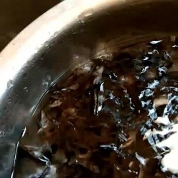 吉州區水產批發市場的龍魚苗價格如何（吉州區水產批發市場的龍魚苗價格）