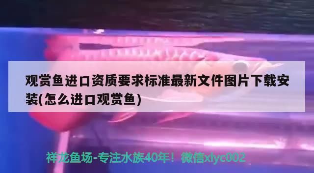 龍魚不開燈會怎么樣嗎(龍魚不開燈自然養的好處)（觀賞魚進口資質要求標準最新文件圖片下載安裝）