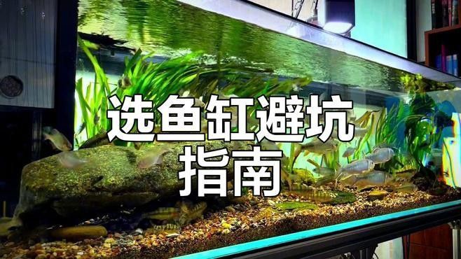 如何判斷一個(gè)魚(yú)缸的性價(jià)比？（一個(gè)魚(yú)缸的性價(jià)比涉及多個(gè)因素包括其功能性、耐用性、維護(hù)成本）