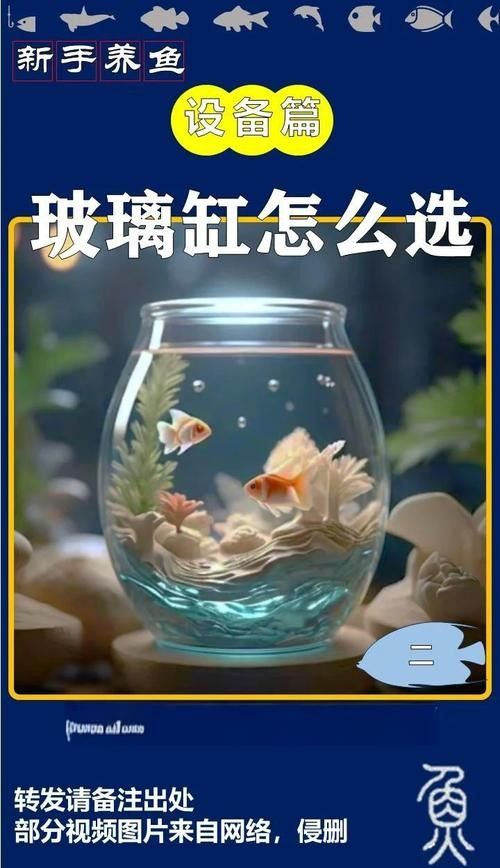 如何判斷一個(gè)魚(yú)缸的性價(jià)比？（一個(gè)魚(yú)缸的性價(jià)比涉及多個(gè)因素包括其功能性、耐用性、維護(hù)成本）