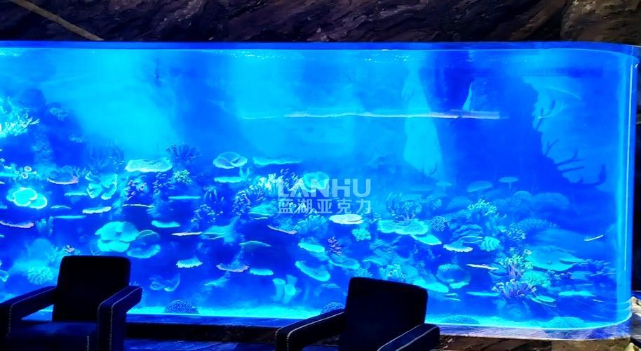如何判斷一個(gè)魚(yú)缸的性價(jià)比？（一個(gè)魚(yú)缸的性價(jià)比涉及多個(gè)因素包括其功能性、耐用性、維護(hù)成本）