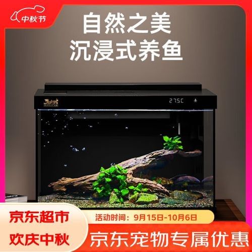 如何判斷一個(gè)魚(yú)缸的性價(jià)比？（一個(gè)魚(yú)缸的性價(jià)比涉及多個(gè)因素包括其功能性、耐用性、維護(hù)成本）