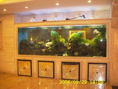 魚缸怎么裝飾才好看（別墅魚缸布局和裝飾,如何讓魚缸更美觀和有藝術感）
