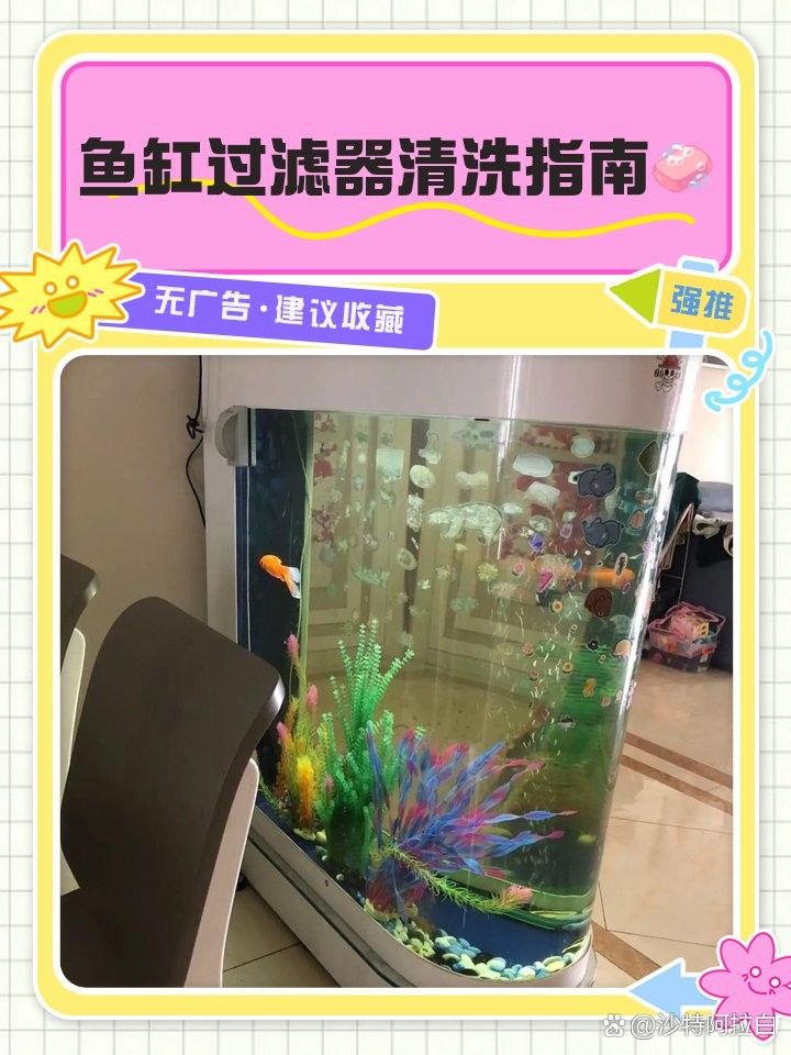 紅龍魚多久洗一次過濾器？（紅龍魚多久清洗一次過濾器）