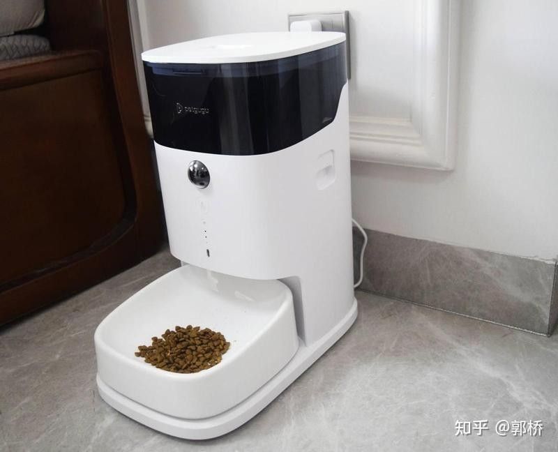 停電期間可以喂食嗎（停電期間，寵物可以喂食動物嗎？）